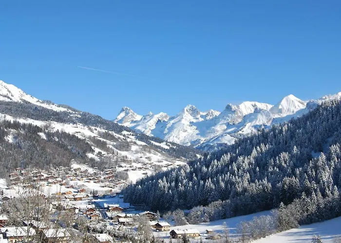 L'ourson Le Grand-Bornand
